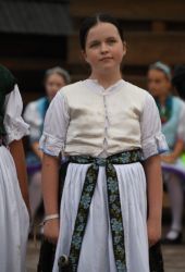 viha celostatka 2022