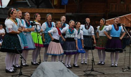 viha celostatka 2022