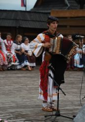 viha celostatka 2022