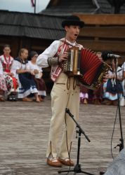 viha celostatka 2022