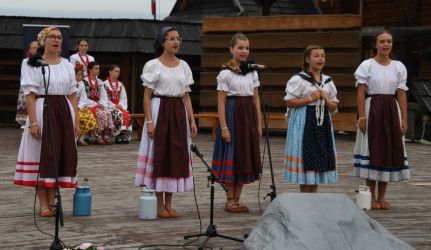 viha celostatka 2022