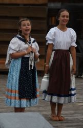 viha celostatka 2022