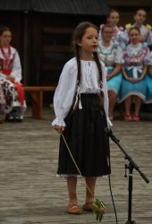 viha celostatka 2022