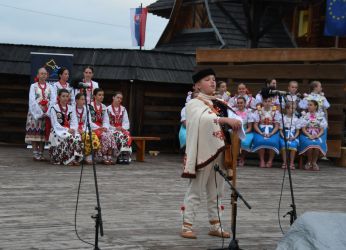 viha celostatka 2022