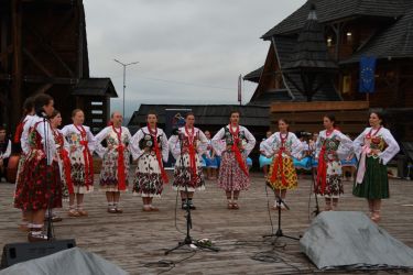 viha celostatka 2022