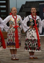 viha celostatka 2022