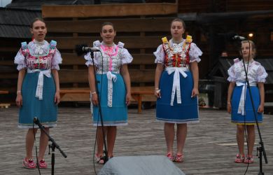 viha celostatka 2022