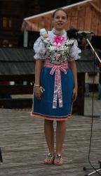 viha celostatka 2022