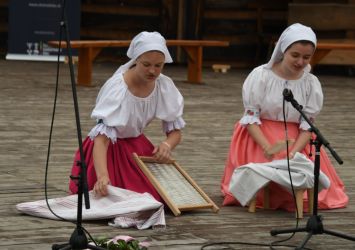 viha celostatka 2022