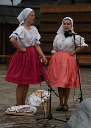 viha celostatka 2022