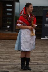 viha celostatka 2022