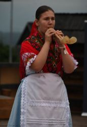 viha celostatka 2022