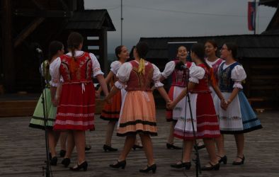 viha celostatka 2022