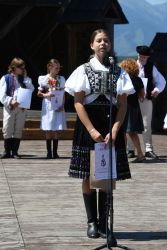 viha celostatka 2022