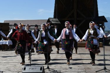 viha celostatka 2022