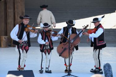 viha celostatka 2022