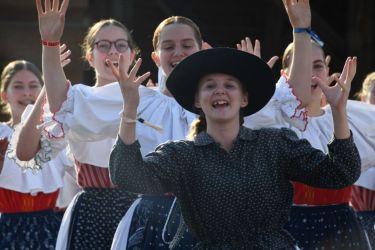 viha celostatka 2022