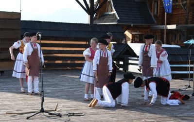 viha celostatka 2022