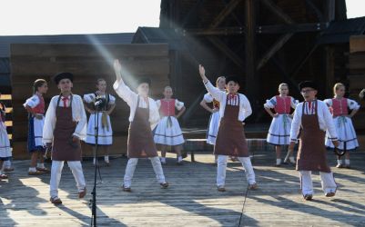 viha celostatka 2022