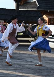 viha celostatka 2022