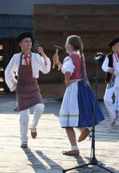 viha celostatka 2022