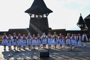 viha celostatka 2022