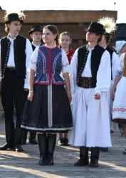 viha celostatka 2022