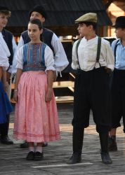 viha celostatka 2022