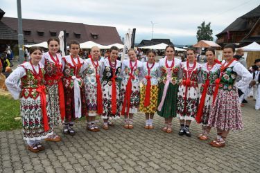 viha celostatka 2022