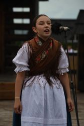 viha celostatka 2022