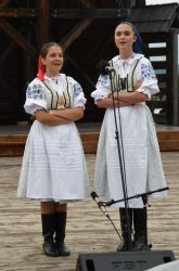 viha celostatka 2022