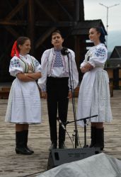 viha celostatka 2022