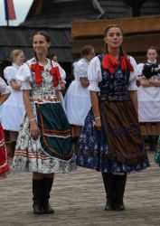 viha celostatka 2022