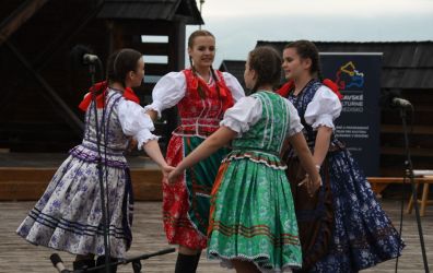 viha celostatka 2022