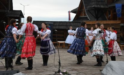 viha celostatka 2022