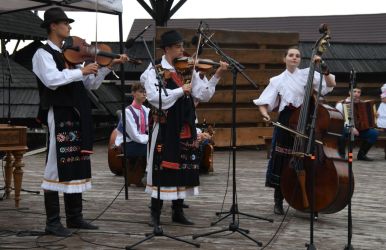 viha celostatka 2022