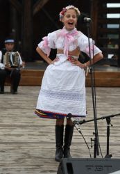 viha celostatka 2022