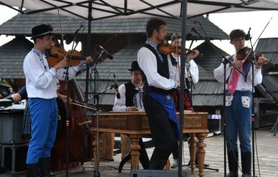 viha celostatka 2022