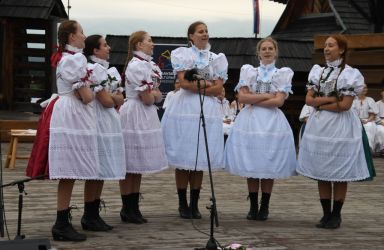 viha celostatka 2022