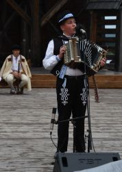 viha celostatka 2022