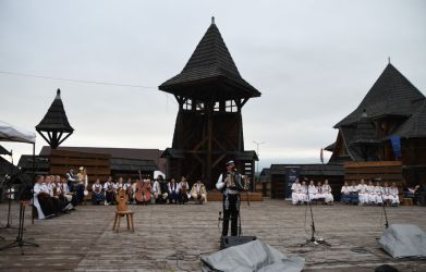 viha celostatka 2022