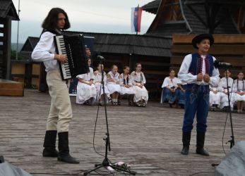 viha celostatka 2022