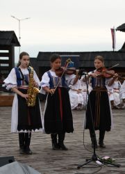 viha celostatka 2022