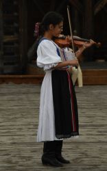 viha celostatka 2022