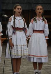 viha celostatka 2022