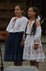 viha celostatka 2022