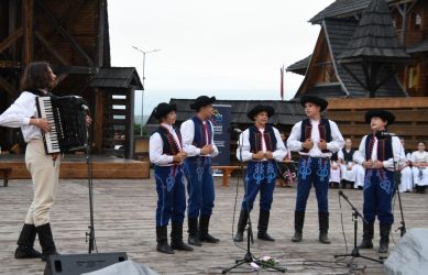 viha celostatka 2022