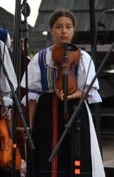 viha celostatka 2022