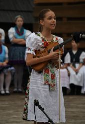 viha celostatka 2022