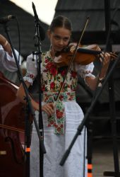 viha celostatka 2022